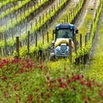 TRAITEMENTS PHYTOSANITAIRES: CALCULER SON IFT