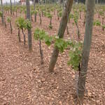 BORDEAUX AQUITAINE RESTRUCTURATION (BA-r)