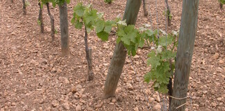 BORDEAUX AQUITAINE RESTRUCTURATION (BA-r)