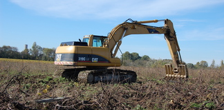 MISE EN OEUVRE DE L’ARRACHAGE SANITAIRE EN GIRONDE