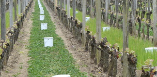 MODALITES DE LUTTE CONTRE LE GEL