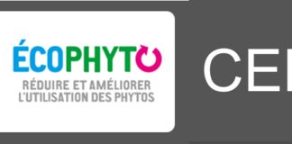 COVID-19 : DELAIS PROROGES POUR LES CERTIPHYTO