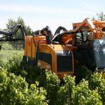 ACTIONS STANDARDISEES D’ECONOMIE DE PRODUITS PHYTOS