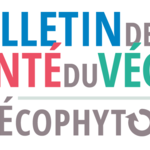 BULLETIN DE SANTE DU VEGETAL