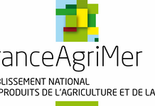 GESTION DU POTENTIEL DE PRODUCTION ET RENONCIATION AUX AUTORISATIONS DE PLANTATIONS NOUVELLES