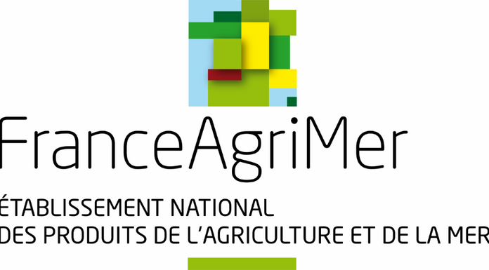 DISTILLATION DE CRISE ET ARRACHAGE DEFINITIF DE VIGNES