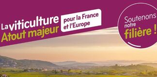LA VITICULTURE, UN ATOUT MAJEUR POUR LA FRANCE ET L’EUROPE